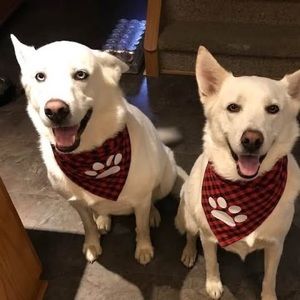 Meet your Posher, Linda